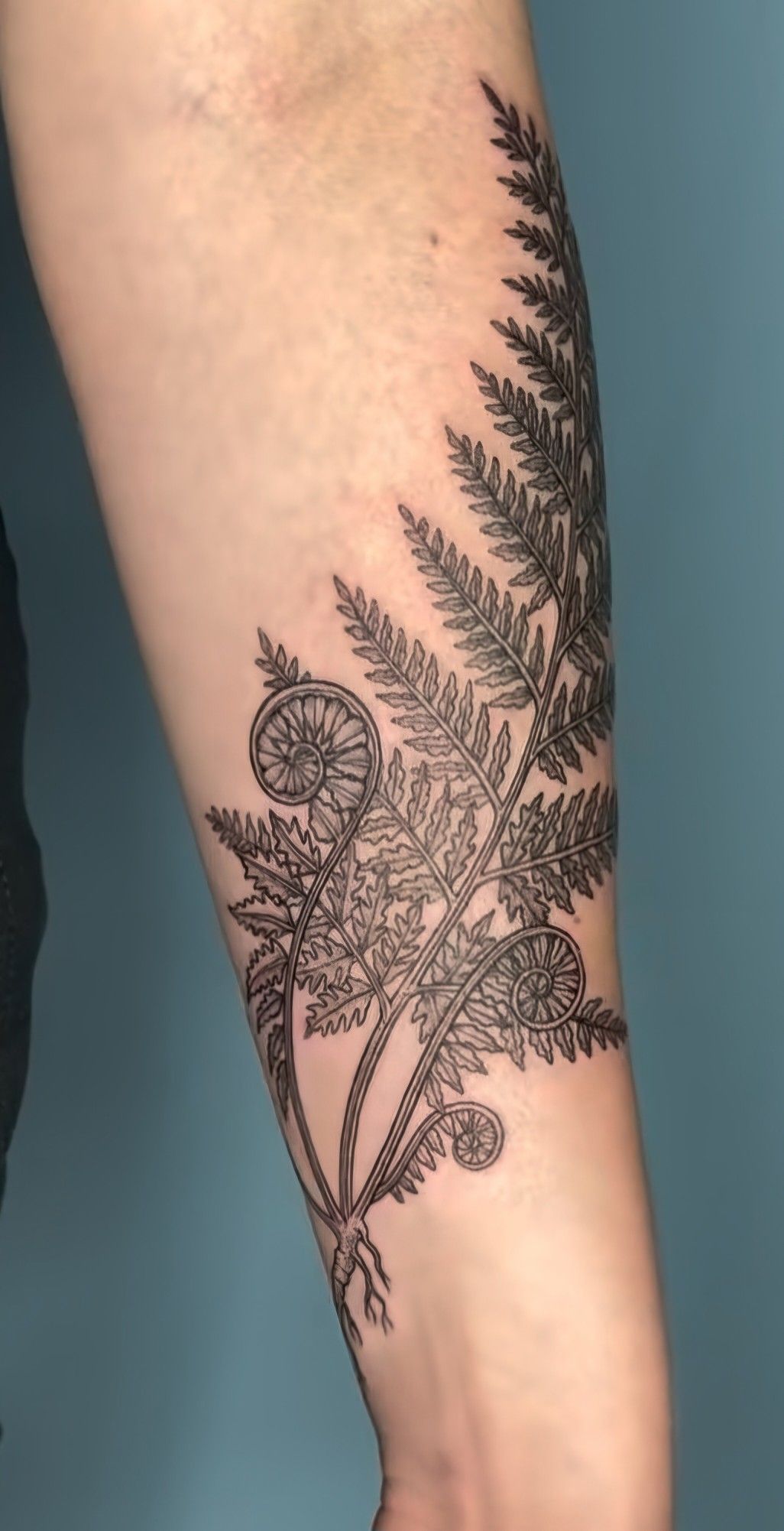 29 Fern Tattoo Ideas: Nature’s Most Elegant Lines, From Shoulder Fronds to Hip Vines