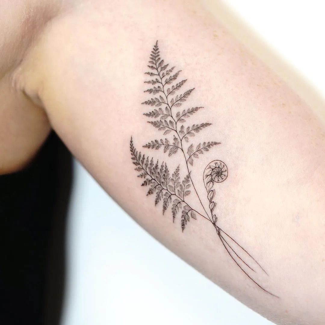 29 Fern Tattoo Ideas: Nature’s Most Elegant Lines, From Shoulder Fronds to Hip Vines