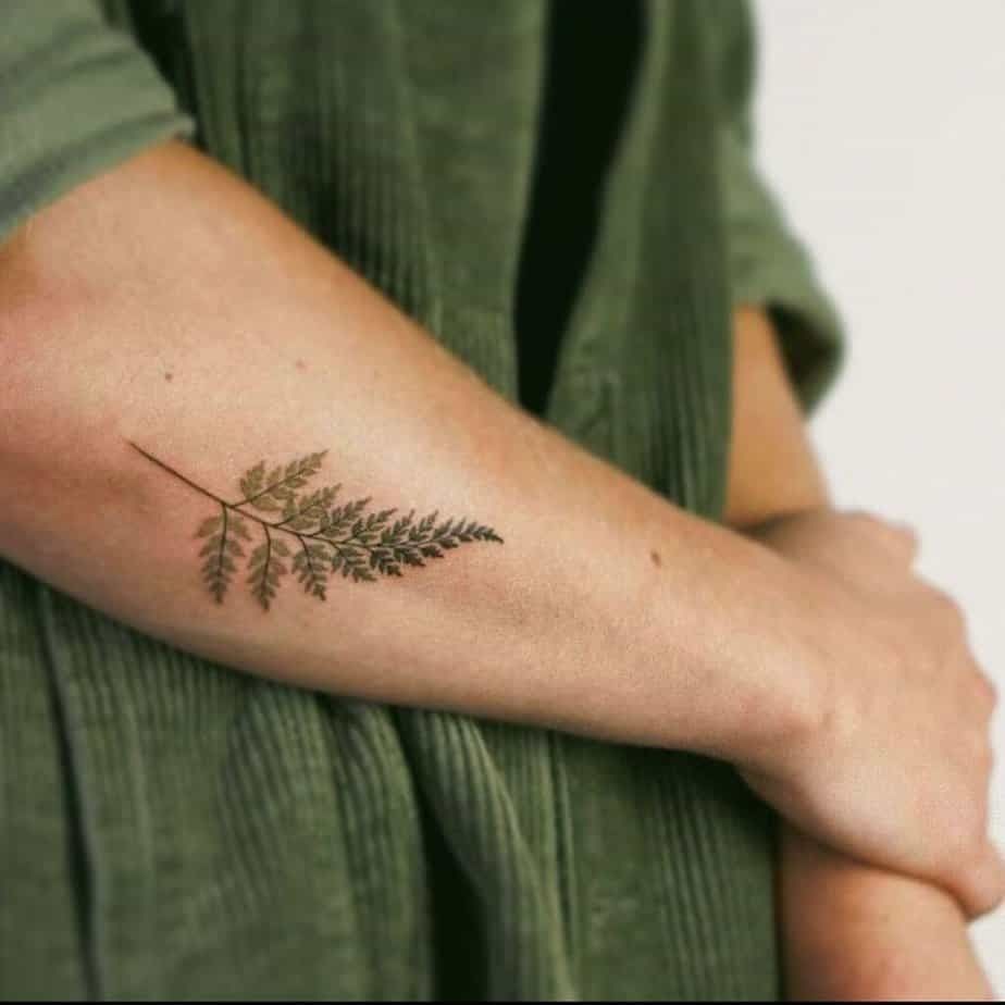 29 Fern Tattoo Ideas: Nature’s Most Elegant Lines, From Shoulder Fronds to Hip Vines