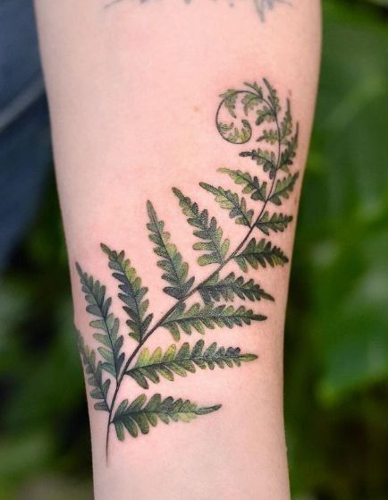 29 Fern Tattoo Ideas: Nature’s Most Elegant Lines, From Shoulder Fronds to Hip Vines