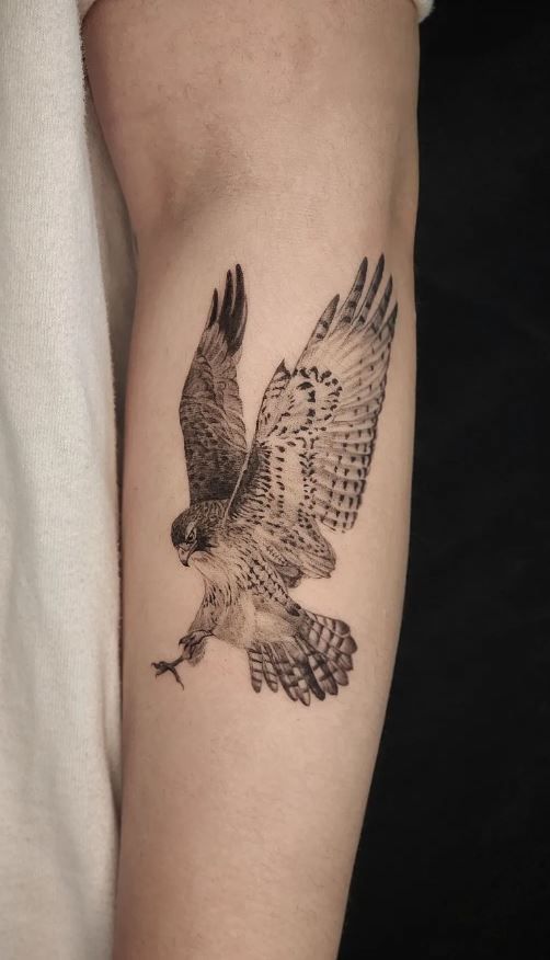 29 Hawk Tattoo Ideas: Bold Designs That Capture Power and Freedom