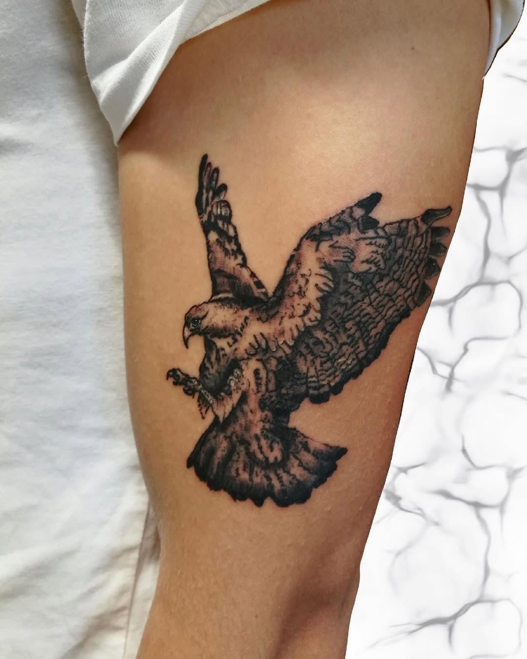 29 Hawk Tattoo Ideas: Bold Designs That Capture Power and Freedom