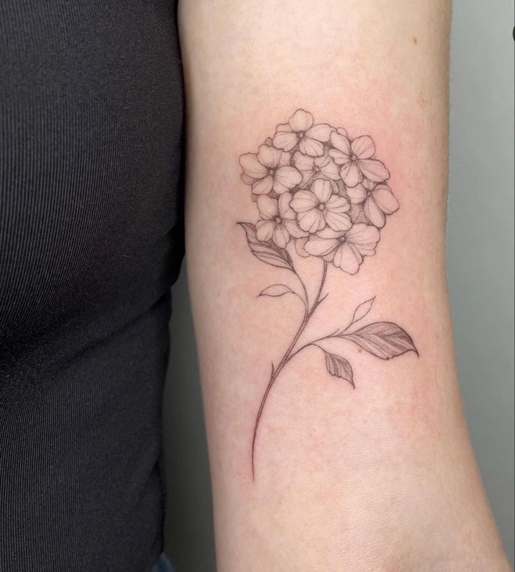 30 Hydrangea Tattoo Ideas: From Dainty Sprigs to Bold Sleeves