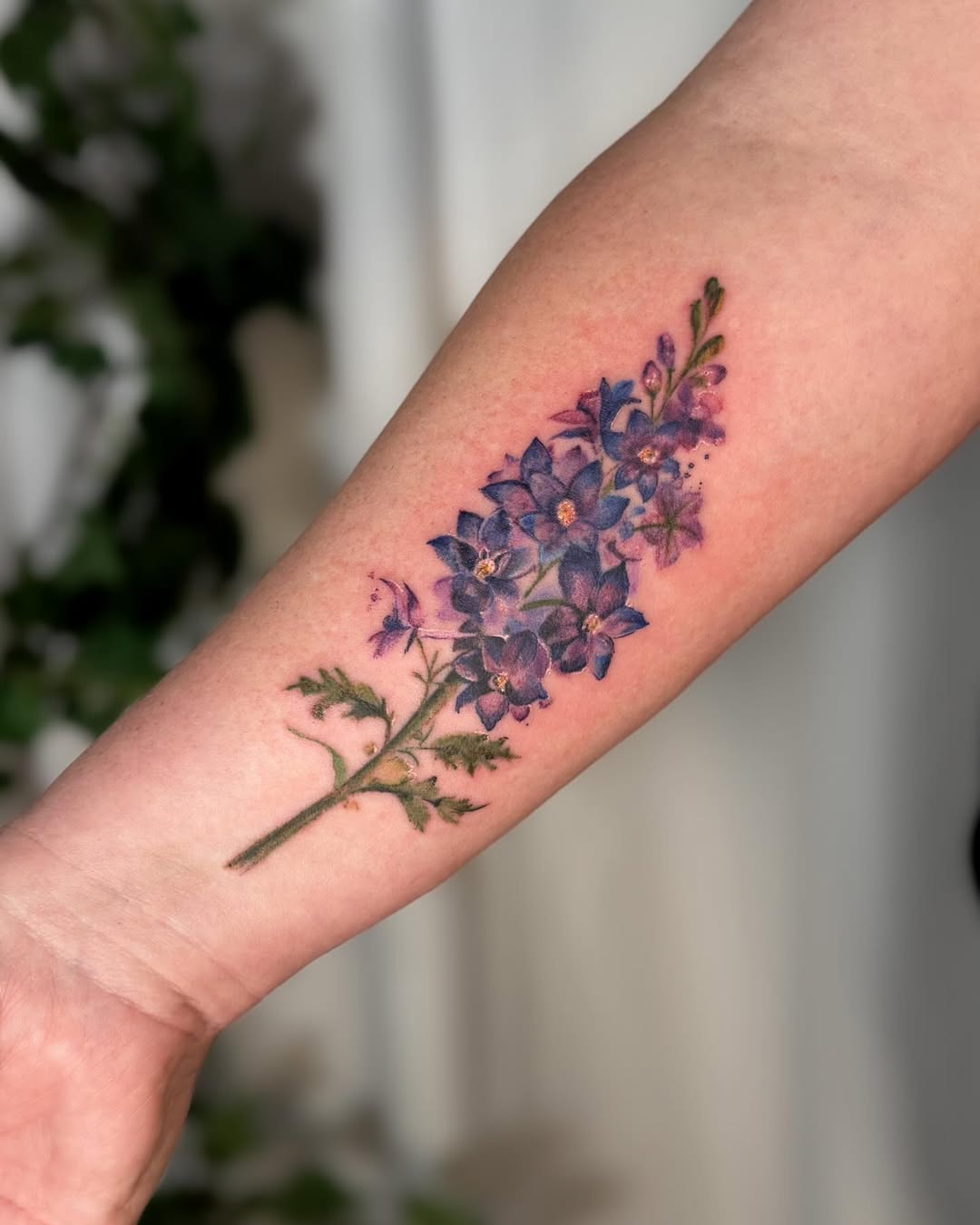 28 Larkspur Tattoo Ideas: Delicate July Blooms with Big Meaning