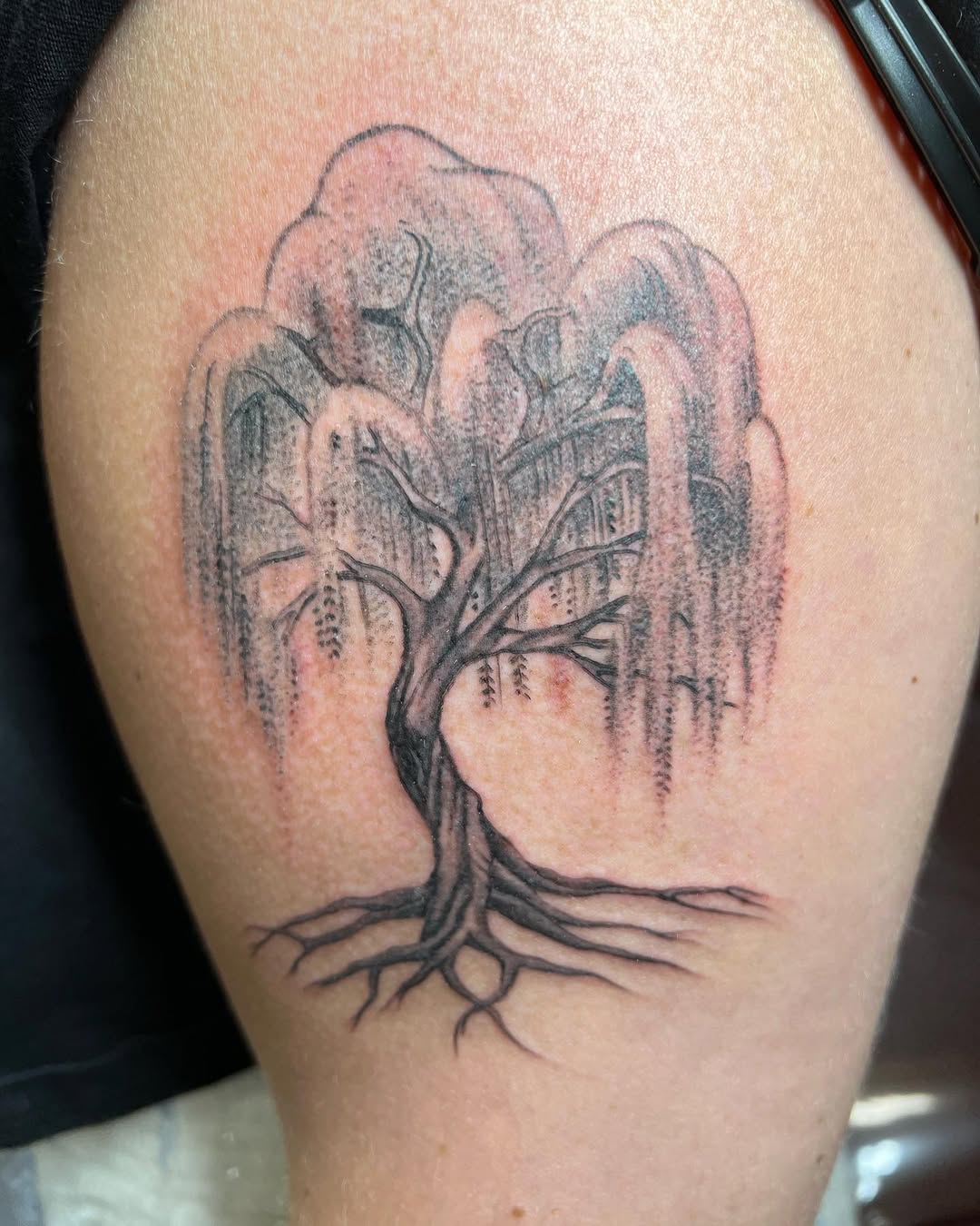 28 Willow Tree Tattoo Ideas: Graceful Designs Filled with Emotion, Meaning, and Quiet Strength