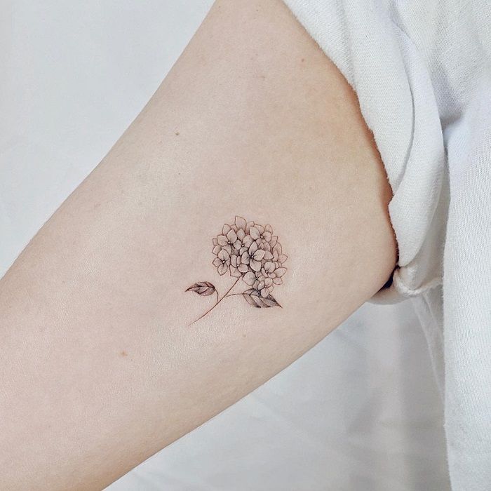 30 Hydrangea Tattoo Ideas: From Dainty Sprigs to Bold Sleeves