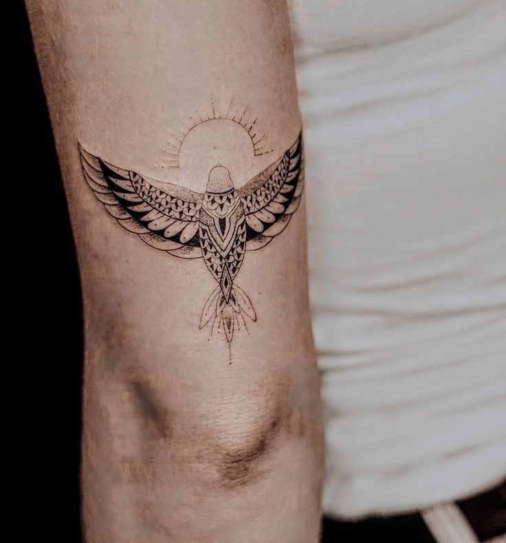 29 Hawk Tattoo Ideas: Bold Designs That Capture Power and Freedom