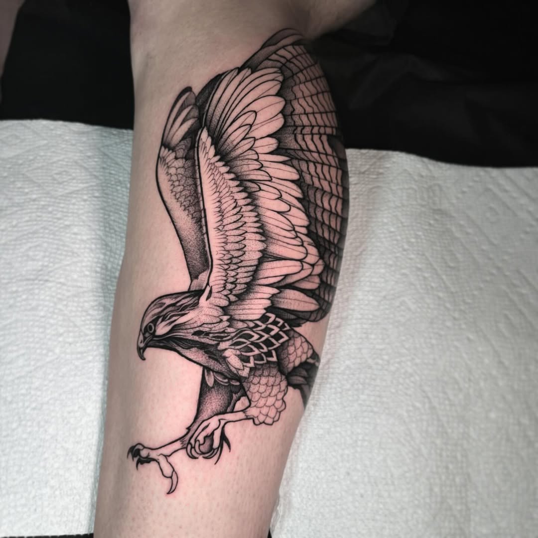 29 Hawk Tattoo Ideas: Bold Designs That Capture Power and Freedom