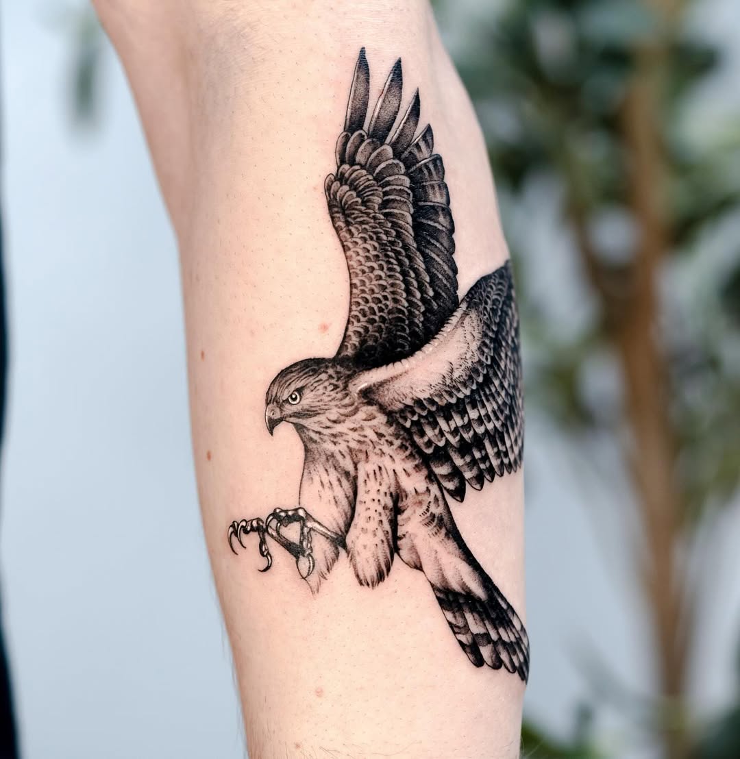 29 Hawk Tattoo Ideas: Bold Designs That Capture Power and Freedom