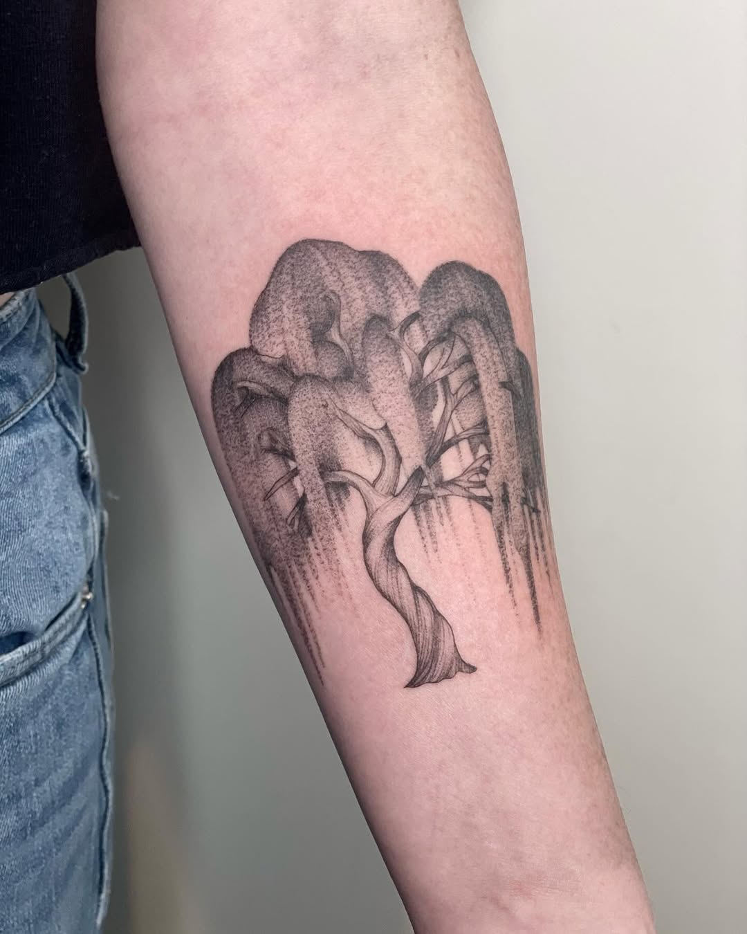 28 Willow Tree Tattoo Ideas: Graceful Designs Filled with Emotion, Meaning, and Quiet Strength