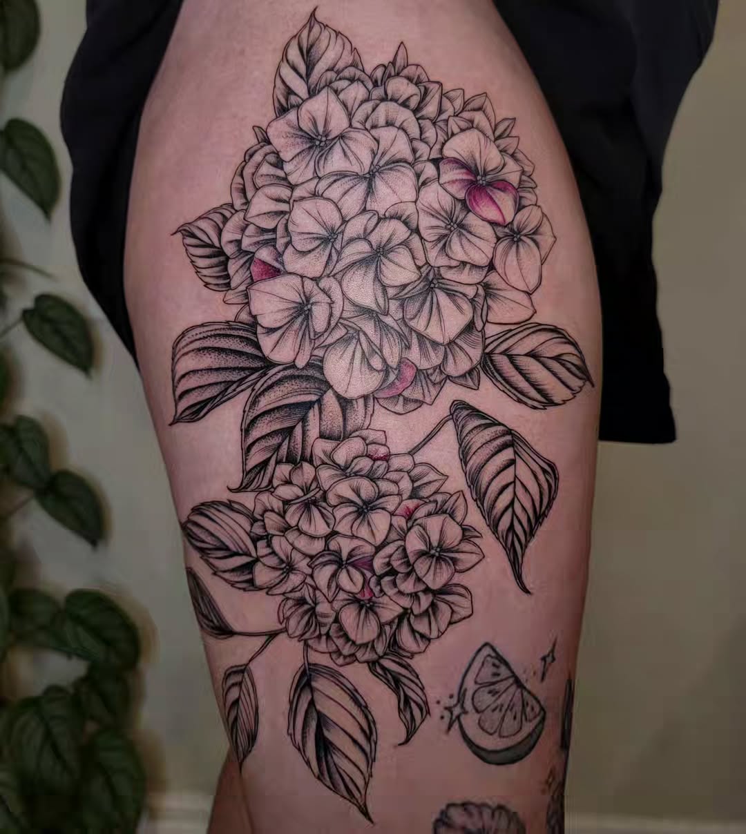30 Hydrangea Tattoo Ideas: From Dainty Sprigs to Bold Sleeves