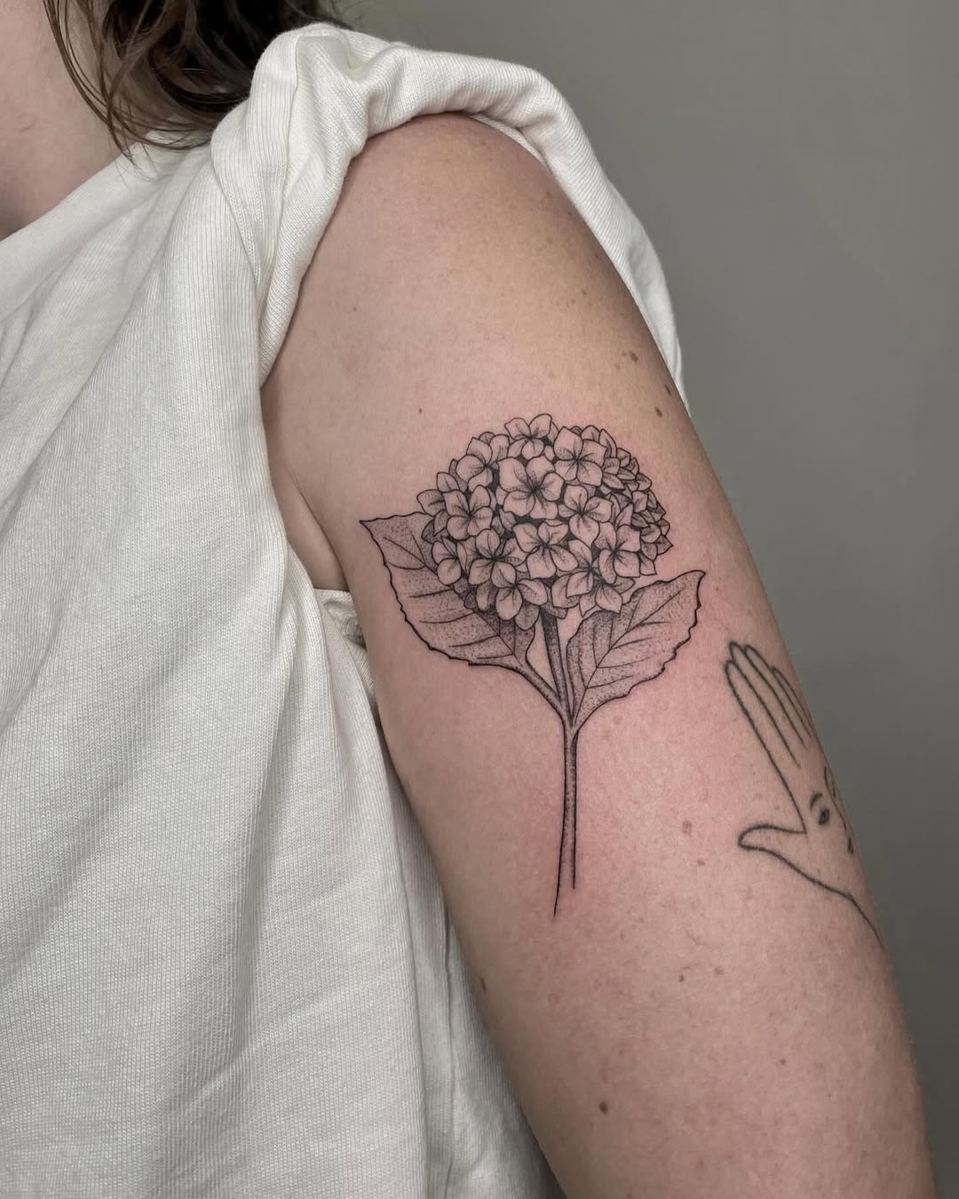 30 Hydrangea Tattoo Ideas: From Dainty Sprigs to Bold Sleeves
