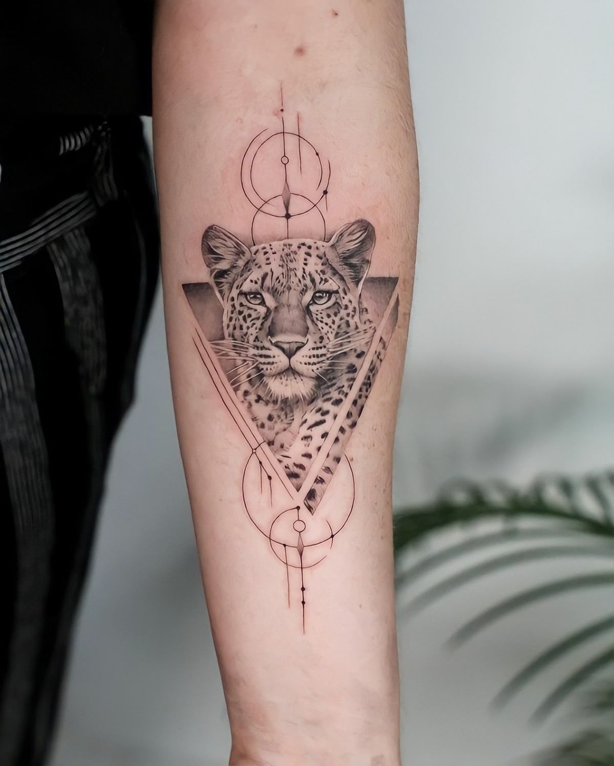 29 Jaguar Tattoo Ideas: Bold Black-Ink Designs for Men and Women