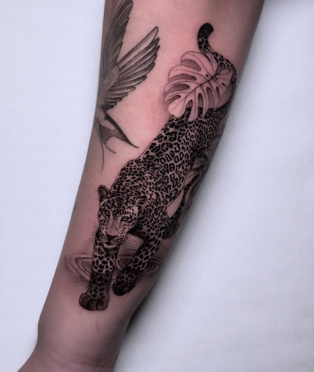 29 Jaguar Tattoo Ideas: Bold Black-Ink Designs for Men and Women