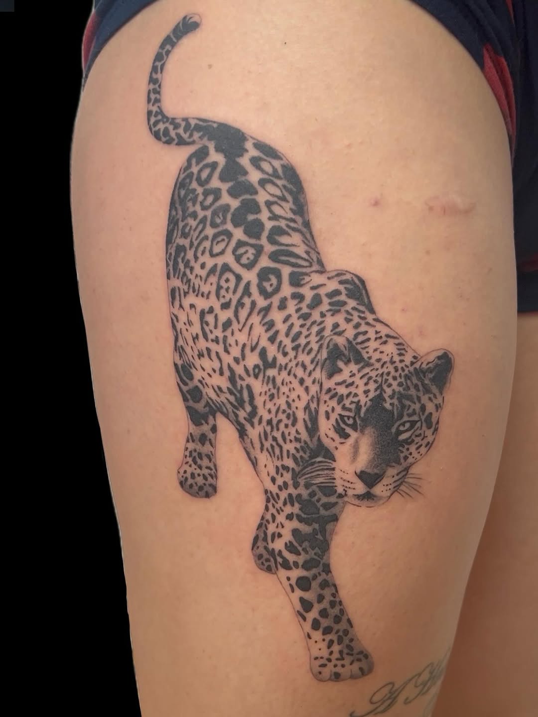 29 Jaguar Tattoo Ideas: Bold Black-Ink Designs for Men and Women