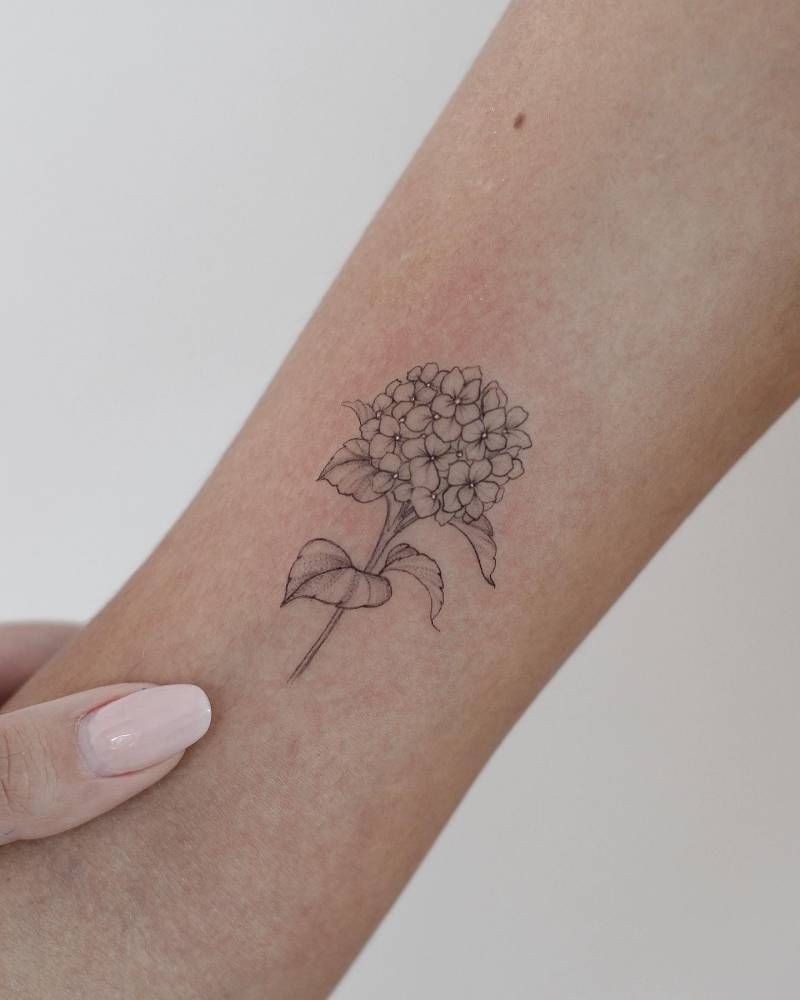 30 Hydrangea Tattoo Ideas: From Dainty Sprigs to Bold Sleeves