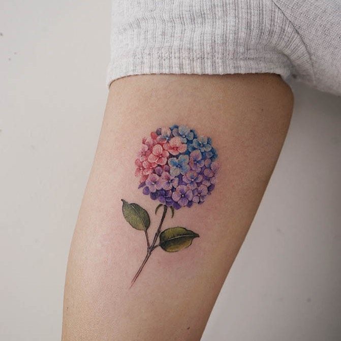 30 Hydrangea Tattoo Ideas: From Dainty Sprigs to Bold Sleeves