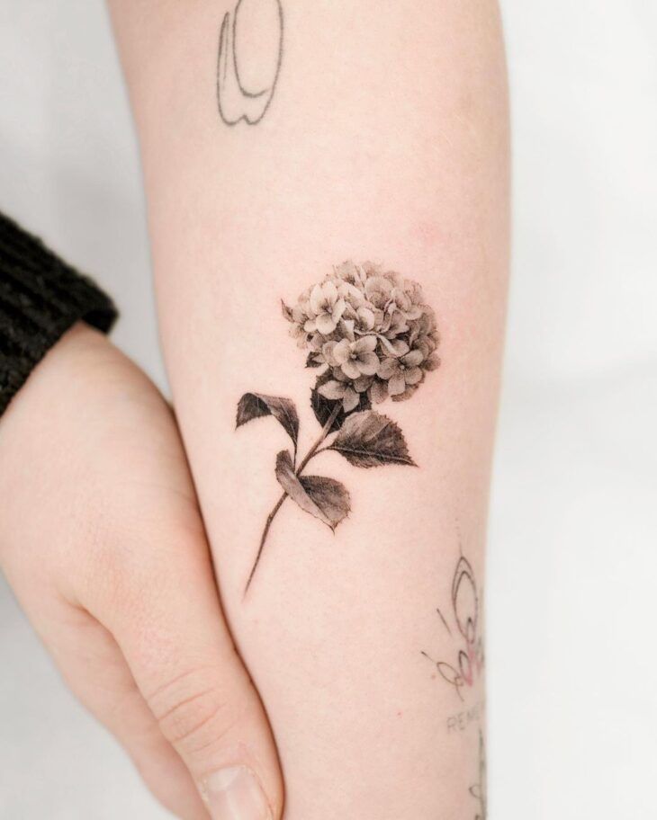 30 Hydrangea Tattoo Ideas: From Dainty Sprigs to Bold Sleeves