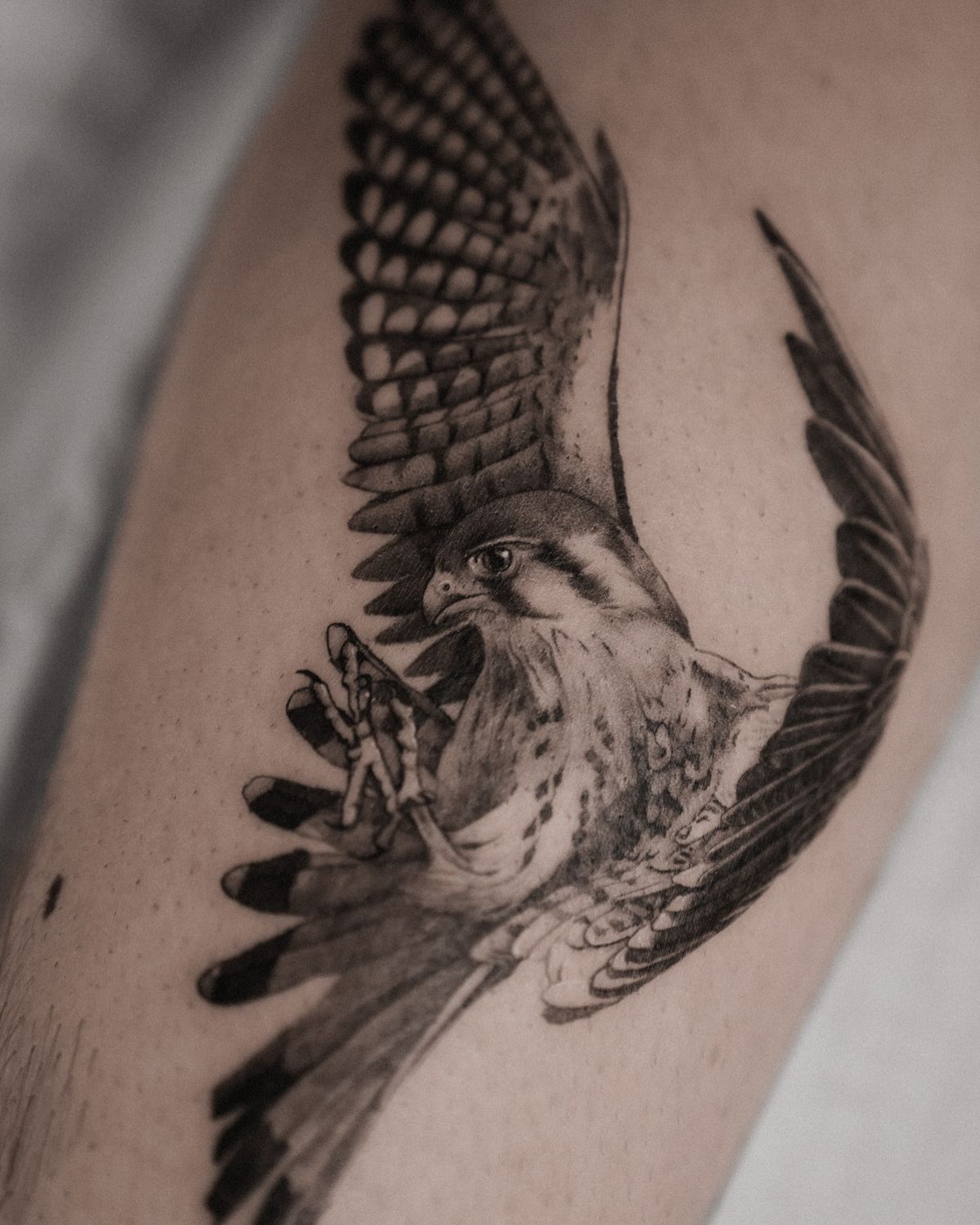 29 Hawk Tattoo Ideas: Bold Designs That Capture Power and Freedom