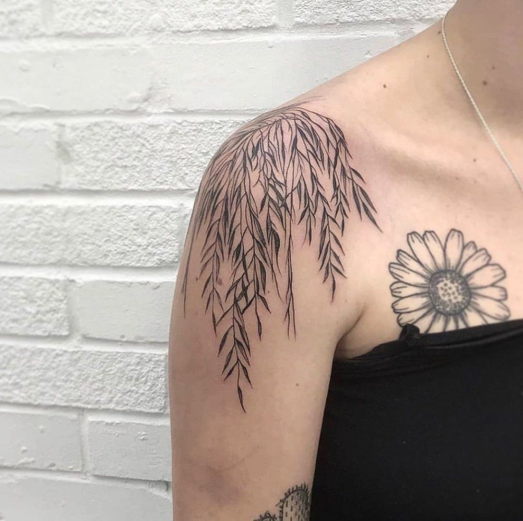 28 Willow Tree Tattoo Ideas: Graceful Designs Filled with Emotion, Meaning, and Quiet Strength