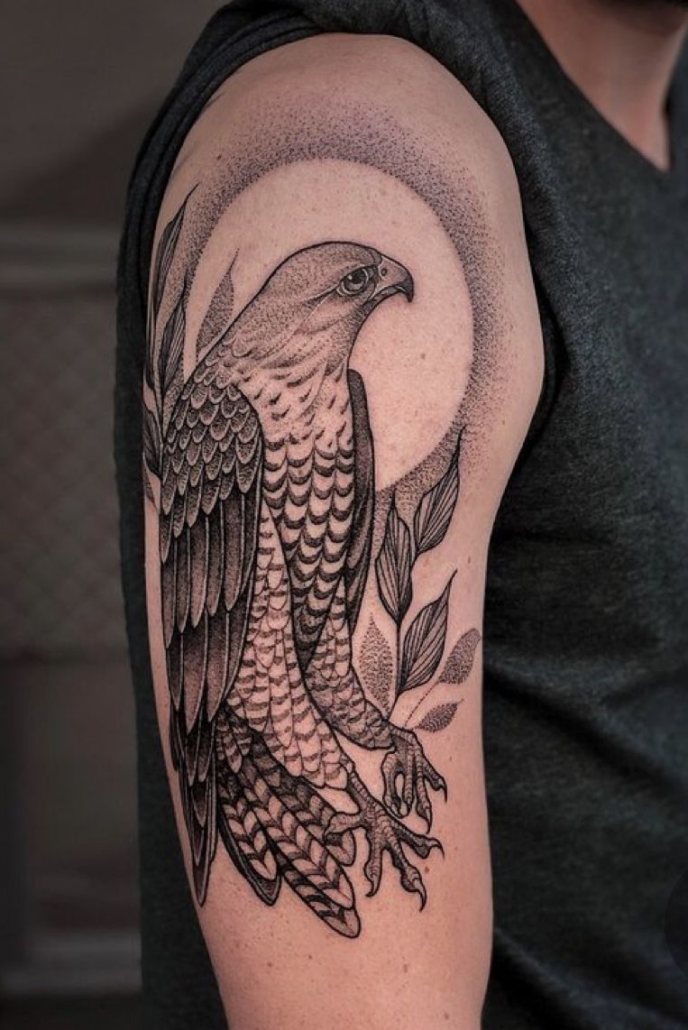 29 Hawk Tattoo Ideas: Bold Designs That Capture Power and Freedom