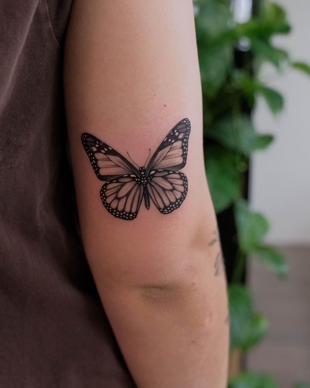 30 Monarch Butterfly Tattoo Ideas: From Tiny Symbols to Storytelling Sleeves