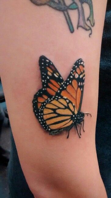30 Monarch Butterfly Tattoo Ideas: From Tiny Symbols to Storytelling Sleeves