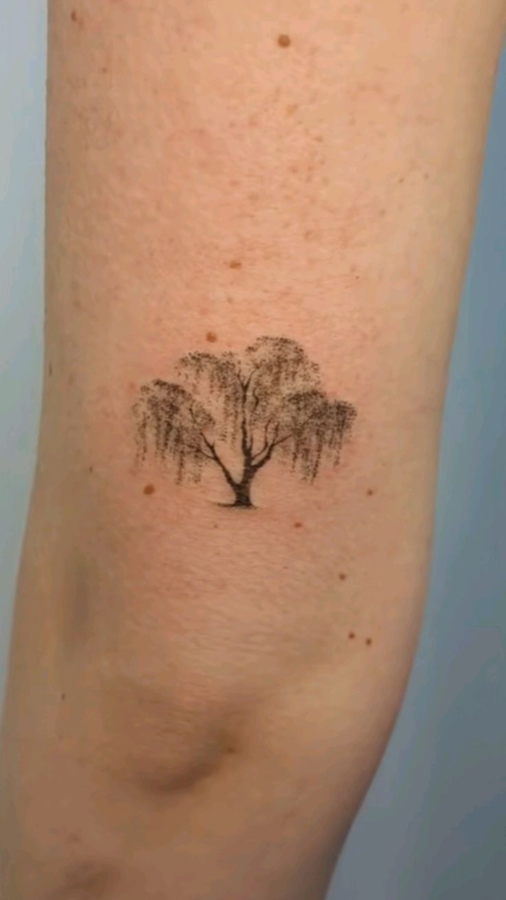 28 Willow Tree Tattoo Ideas: Graceful Designs Filled with Emotion, Meaning, and Quiet Strength