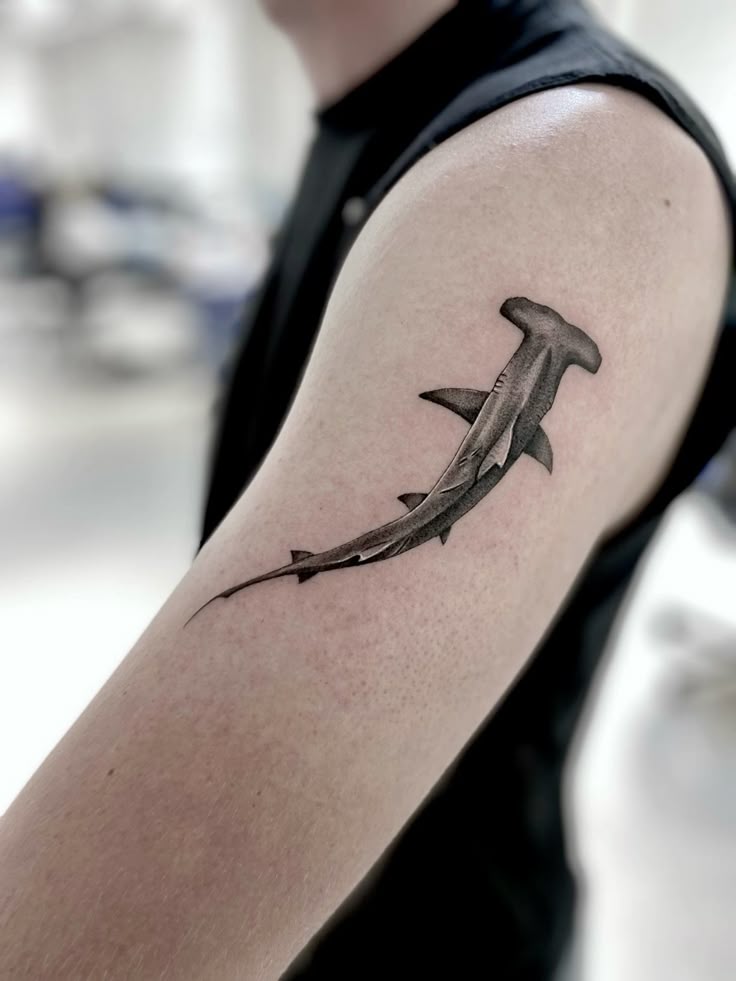 32 Hammerhead Shark Tattoos: Minimalist and Realistic Designs for Modern Ink