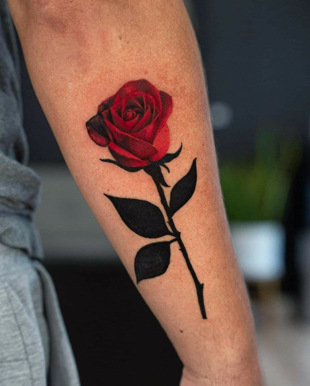 30 Rose Tattoos: From Simple Outlines to Bold Realism for Every Style