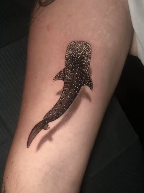 28 Whale Shark Tattoo Ideas: Graceful Designs, Meanings and Placements for Ocean Lovers