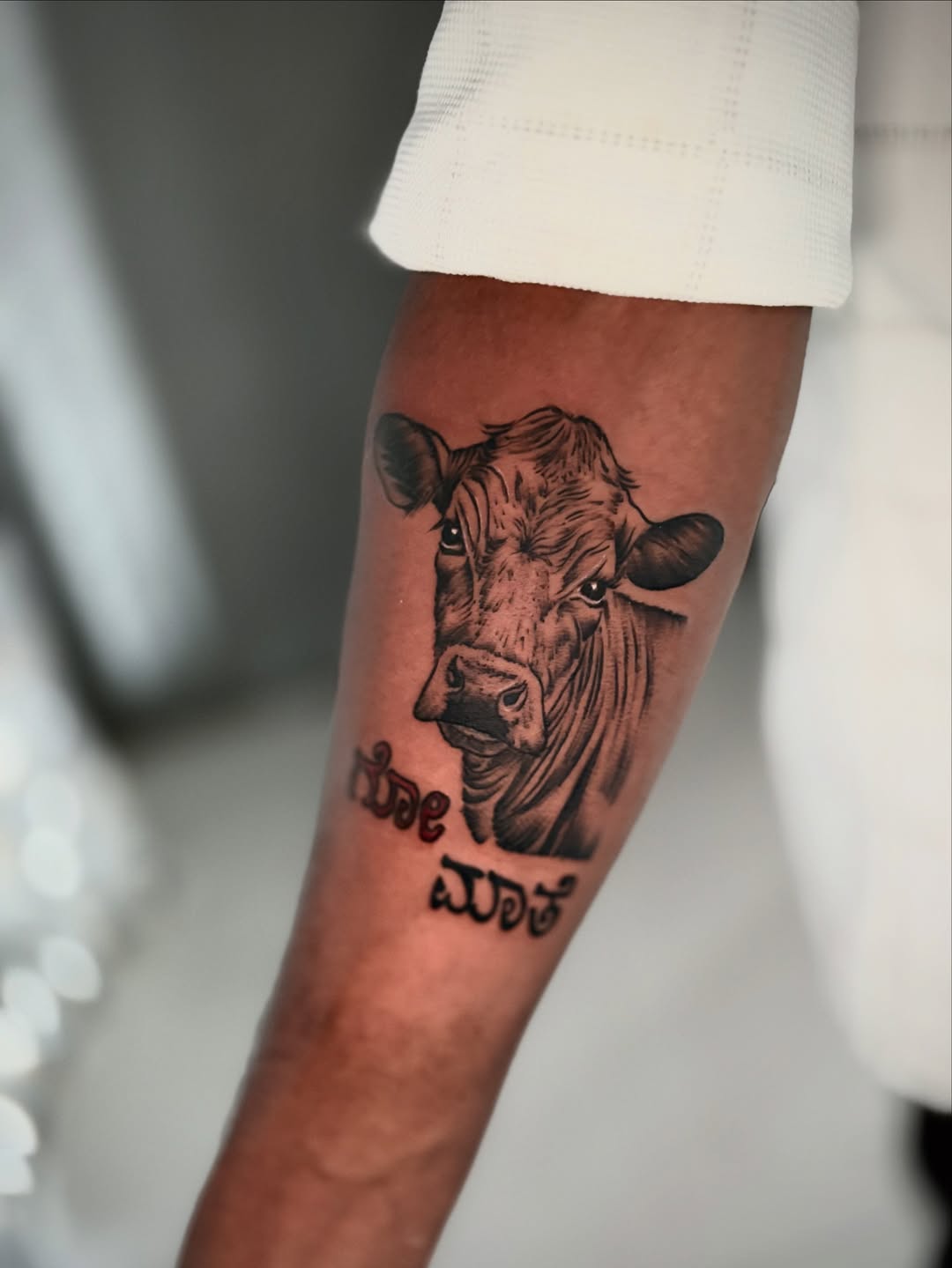 26 Cow Tattoo Ideas for Women: Cute, Minimalist, and Colorful Designs for Every Style