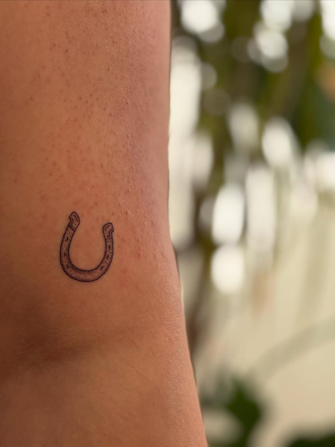 29 Horseshoe Tattoo Ideas: Lucky Designs, Western Symbols and Floral Charms