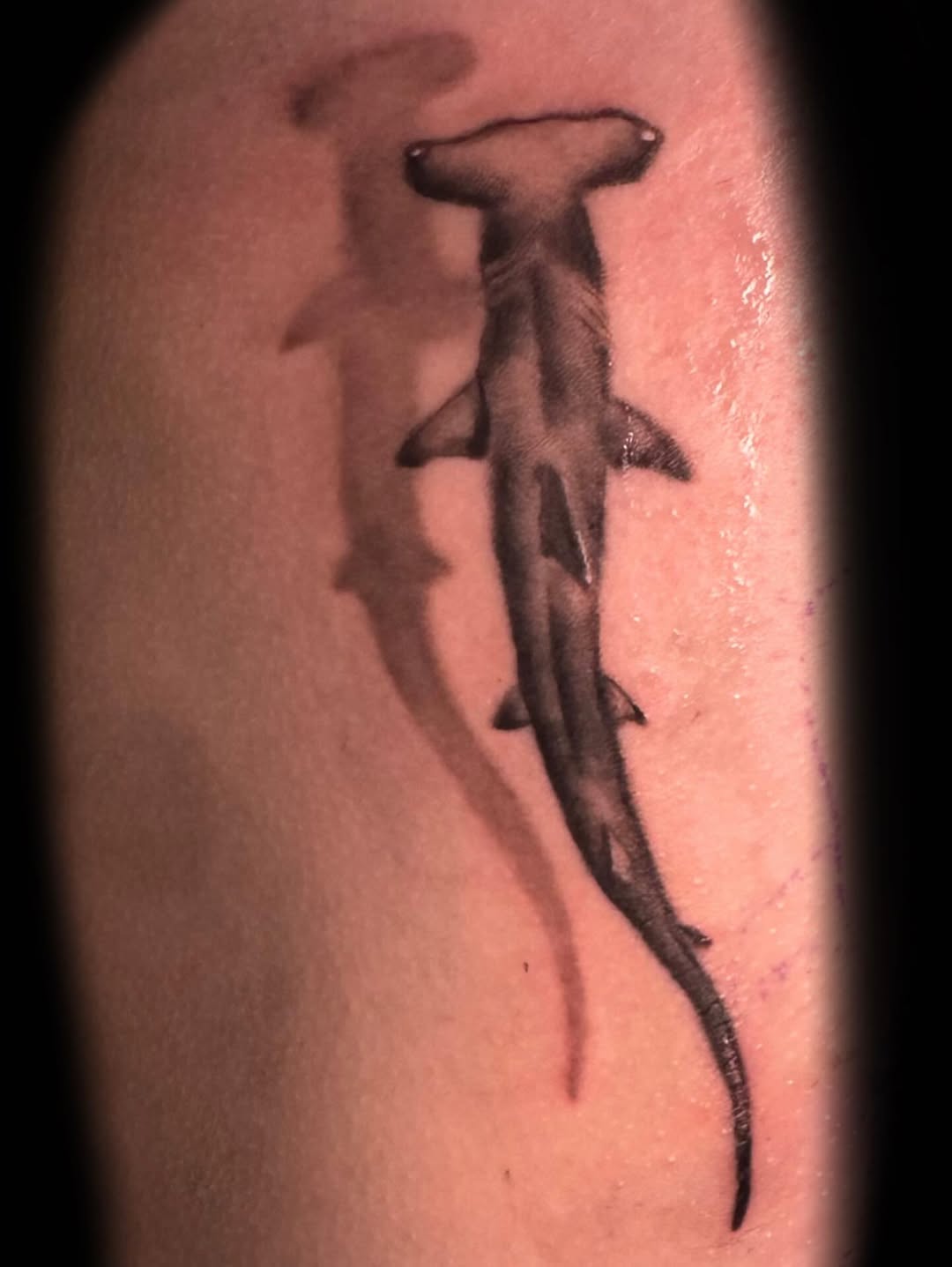 32 Hammerhead Shark Tattoos: Minimalist and Realistic Designs for Modern Ink