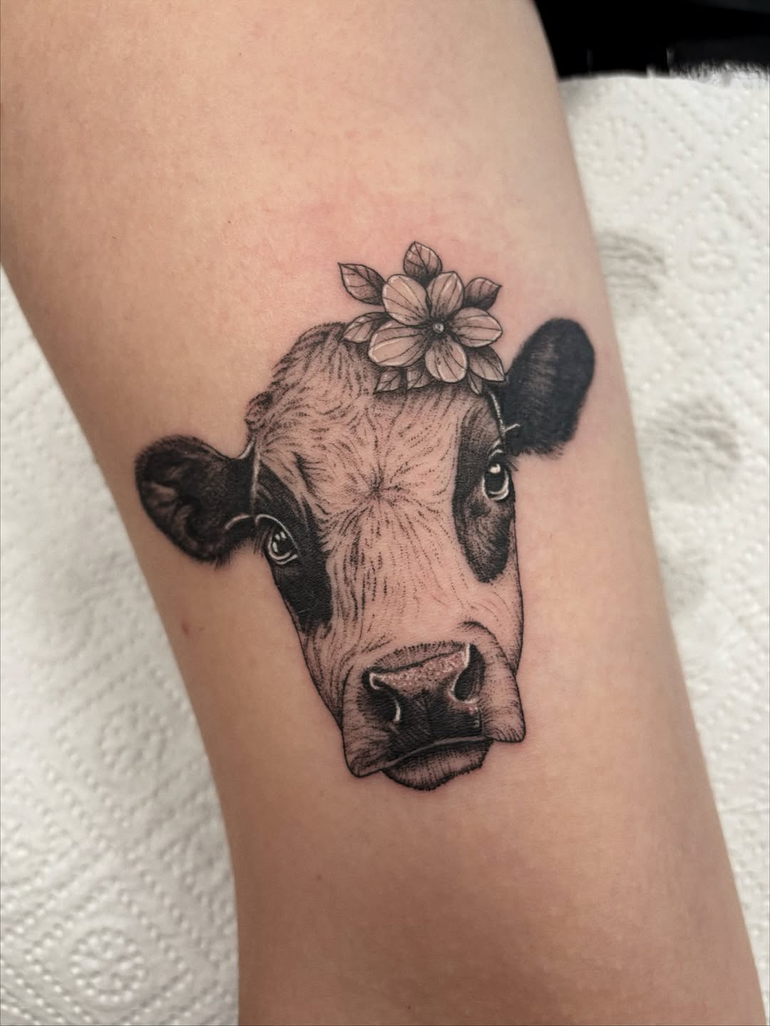 26 Cow Tattoo Ideas for Women: Cute, Minimalist, and Colorful Designs for Every Style