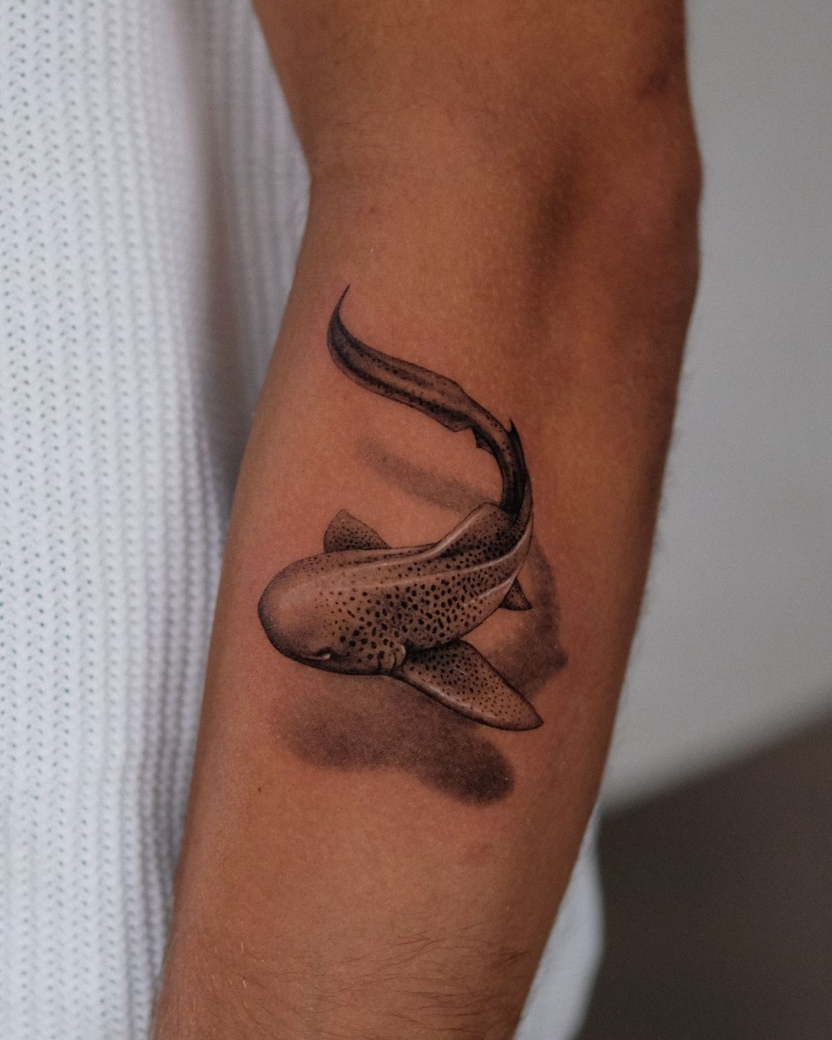 28 Whale Shark Tattoo Ideas: Graceful Designs, Meanings and Placements for Ocean Lovers