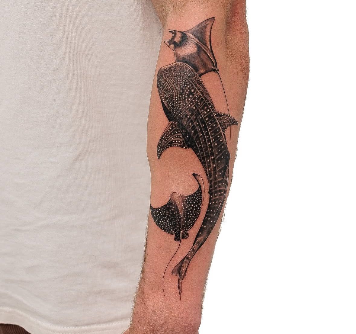 28 Whale Shark Tattoo Ideas: Graceful Designs, Meanings and Placements for Ocean Lovers