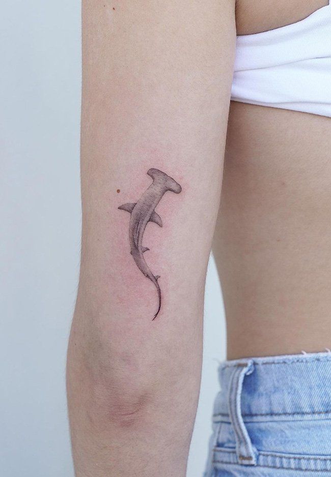 32 Hammerhead Shark Tattoos: Minimalist and Realistic Designs for Modern Ink