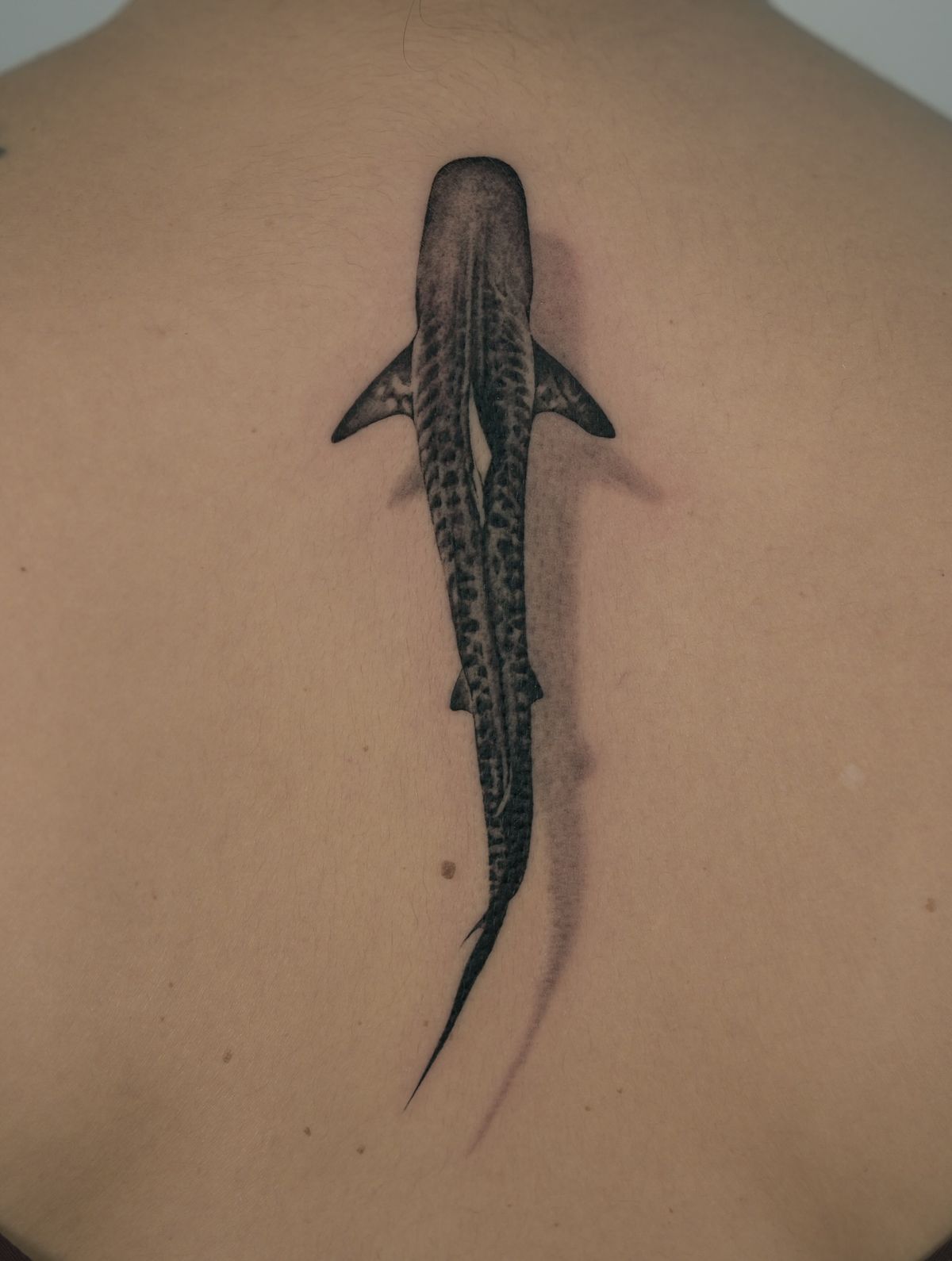 28 Whale Shark Tattoo Ideas: Graceful Designs, Meanings and Placements for Ocean Lovers
