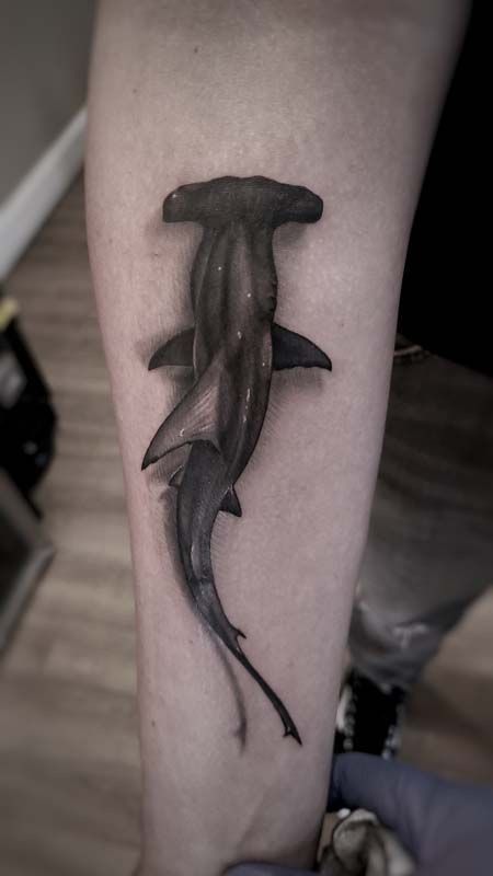 32 Hammerhead Shark Tattoos: Minimalist and Realistic Designs for Modern Ink