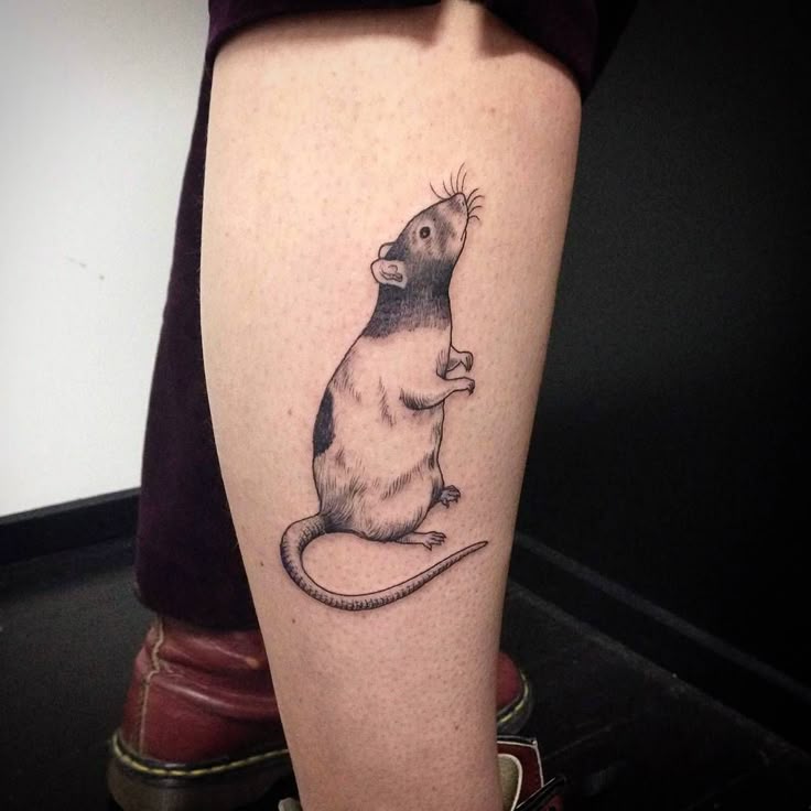 29 Rat Tattoo Ideas: From Cute Minimalism to Bold Blackwork Statements