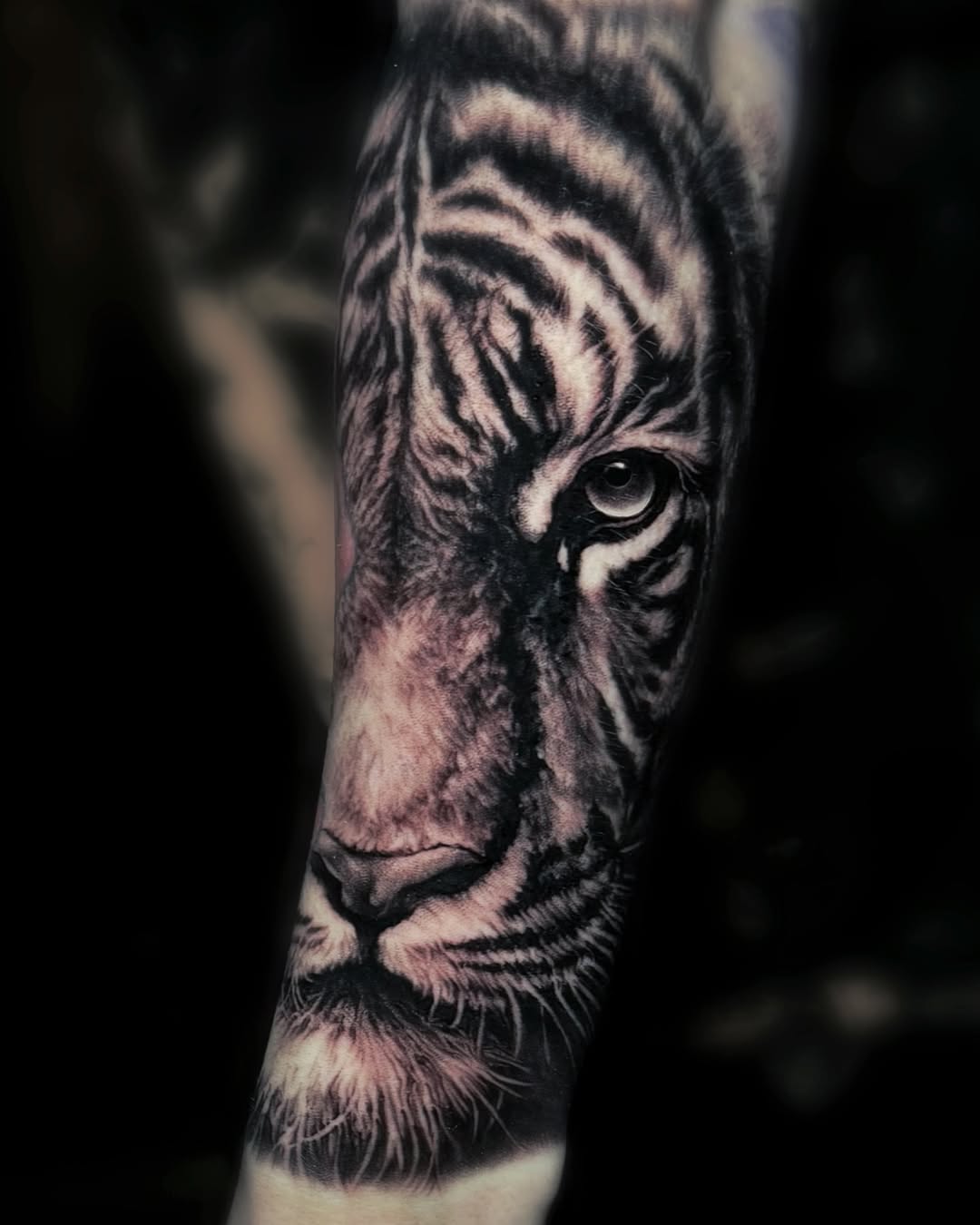 28 Outer Forearm Tattoo Ideas: A Curated Guide to Style, Meaning, and Modern Ink