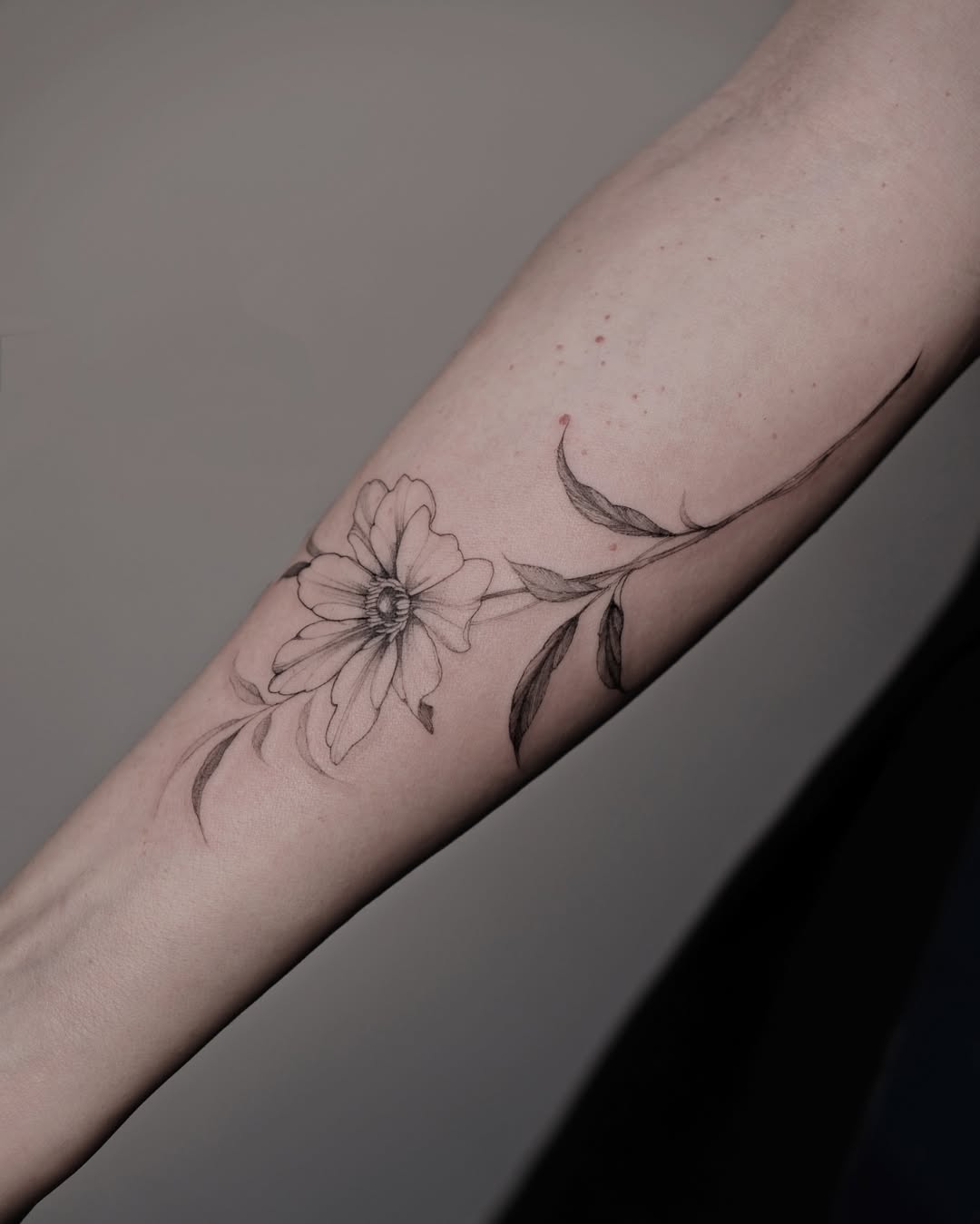 31 Cosmos Flower Tattoo Ideas: Delicate Symbolism With Modern Elegance