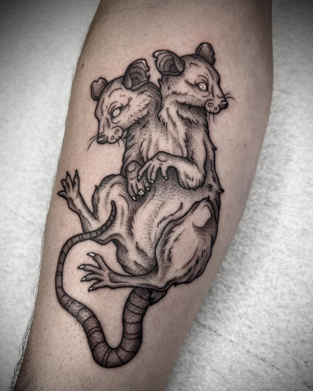 29 Rat Tattoo Ideas: From Cute Minimalism to Bold Blackwork Statements