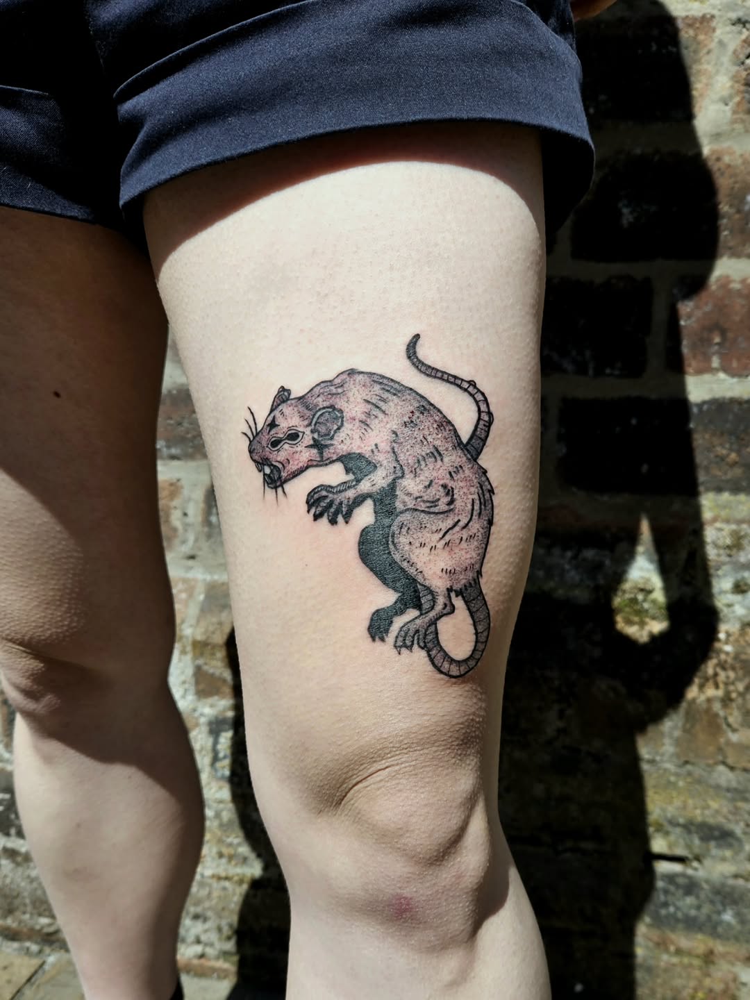 29 Rat Tattoo Ideas: From Cute Minimalism to Bold Blackwork Statements