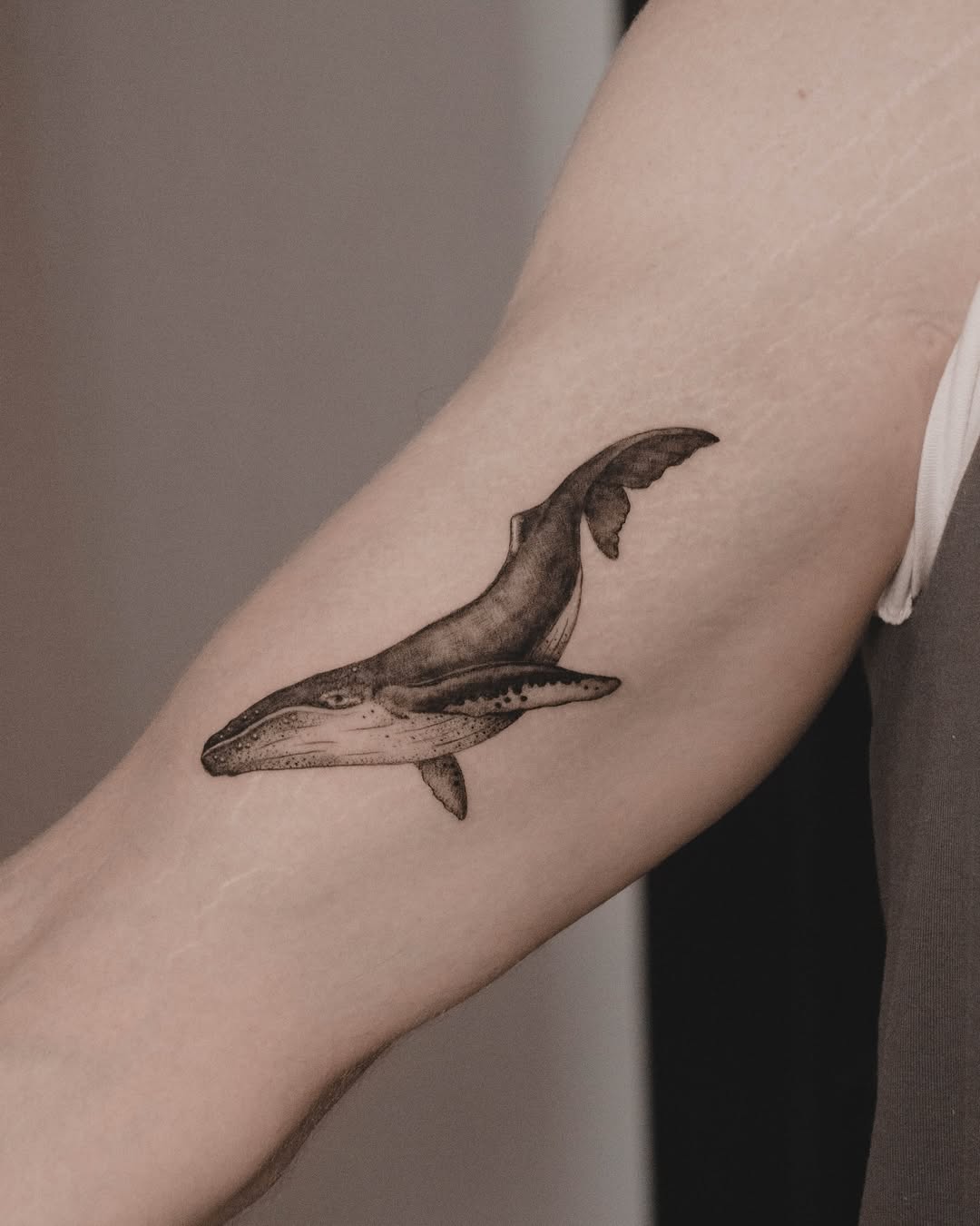 32 Whale Tattoo Ideas: Humpback, Minimalist 52Hz Designs, Tiny Tails, Fine Line Looks For Women And Men
