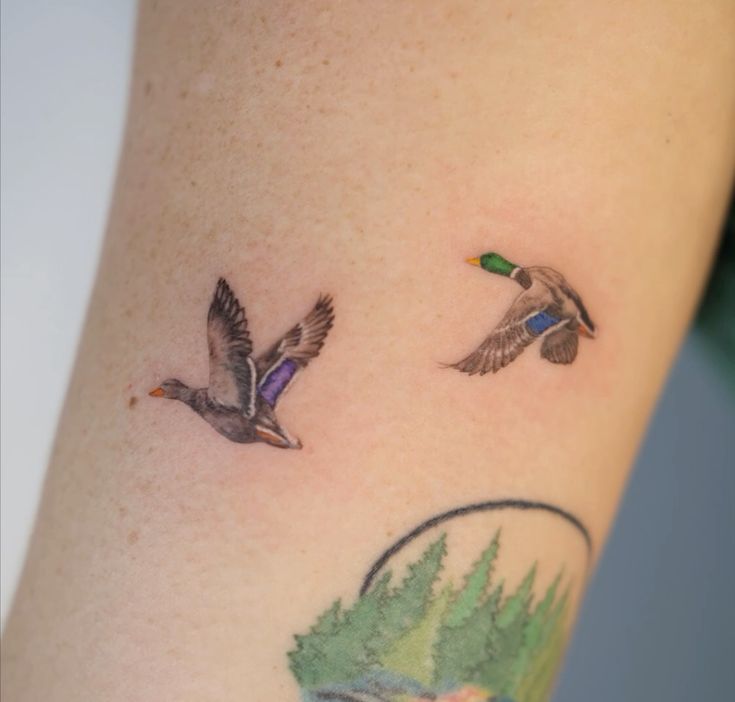 30 Duck Tattoo Ideas: From Playful Mallards to Fine-Line Flight Motifs