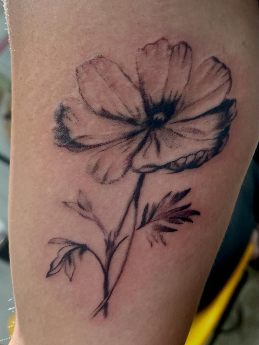 31 Cosmos Flower Tattoo Ideas: Delicate Symbolism With Modern Elegance