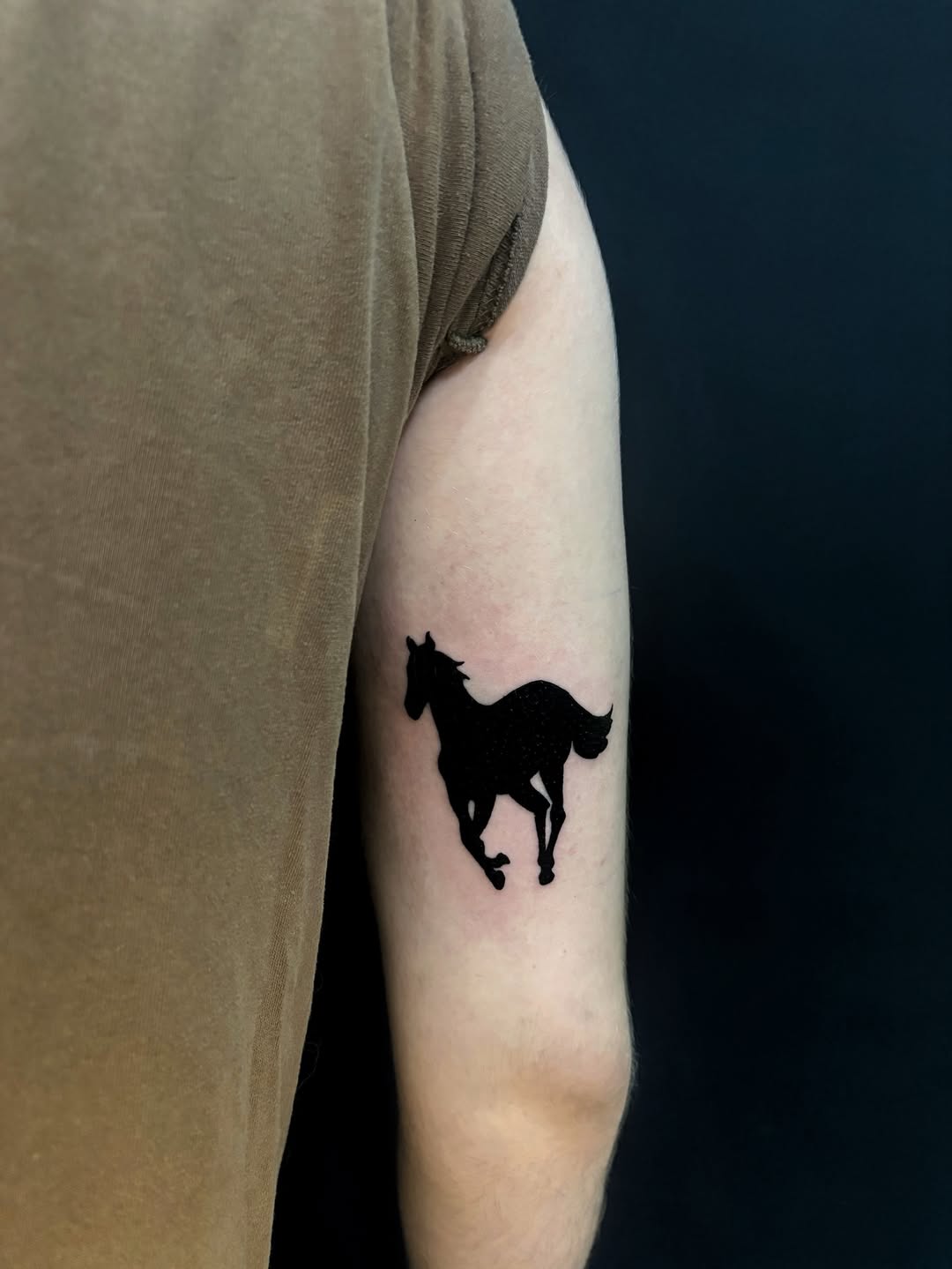 29 Deftones Tattoo Ideas: Minimal Symbols, Heavy Meaning