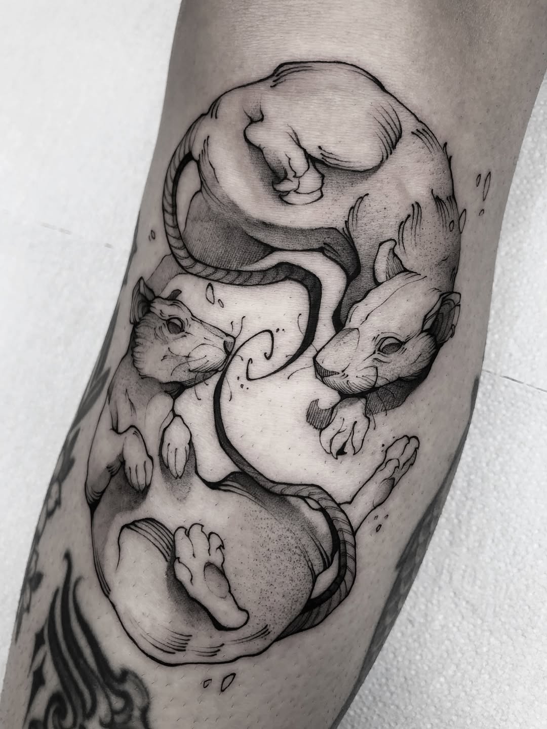 29 Rat Tattoo Ideas: From Cute Minimalism to Bold Blackwork Statements